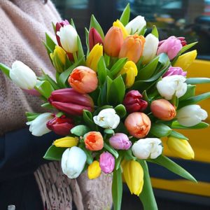 comprar-tulipanes-barcelona