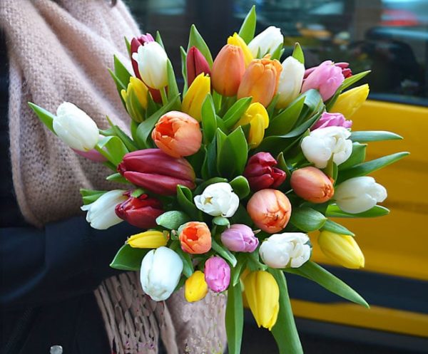comprar-tulipanes-barcelona