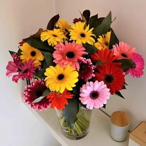 gerberas coloridas barcelona-comprar