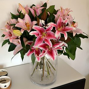 lilliums rosa barcelona