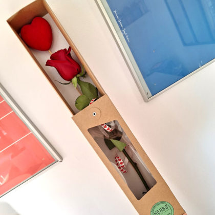 rosa-en-caja