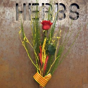 rosas sueltas sant jordi