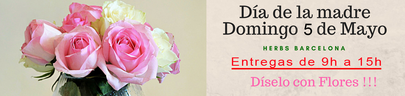 Flores Día de la Madre Flores Día de la Madre