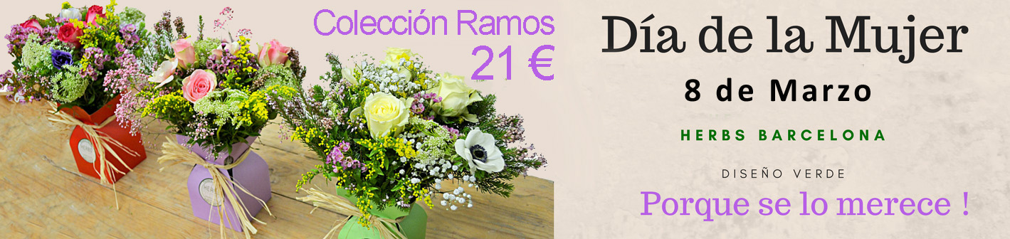 flores día de la mujer flores día de la mujer
