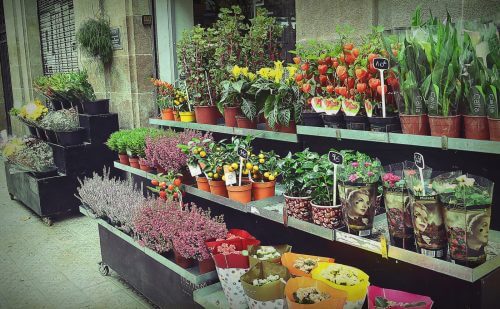 floristeria-barcelona-flores