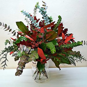 ramos-eucalyptus-barcelona