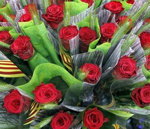 Sant Jordi Barcelona – Blog Flores y plantas