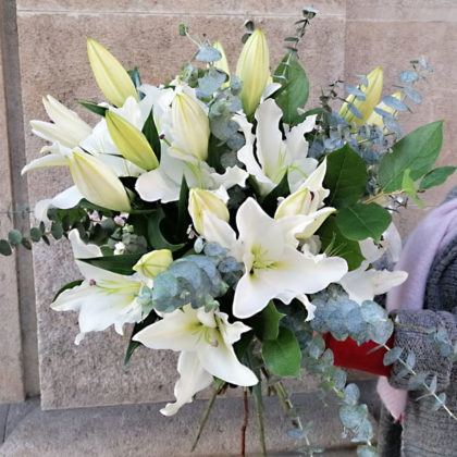 liliums-blancos-domicilio-barcelona