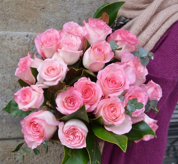 rosas color pastel