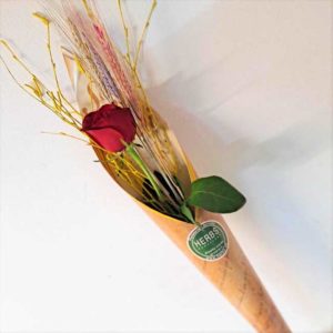 rosa-sant-jordi-poema