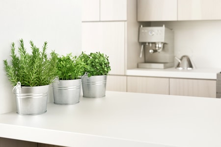 plantas cocina