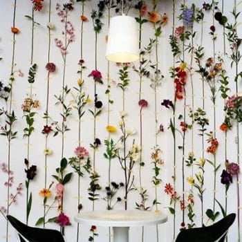 pared flores secas