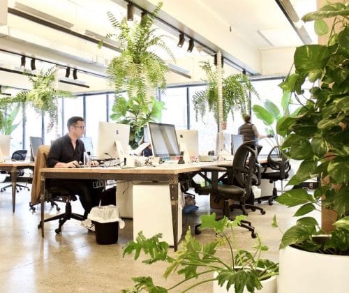 plantas oficina