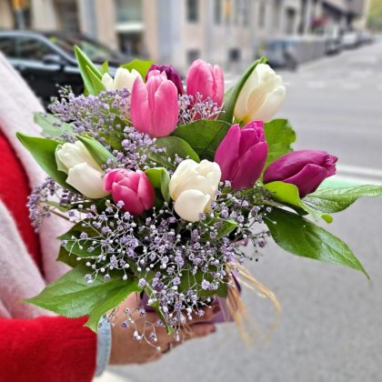 tulipanes-rosa-lila-blanco