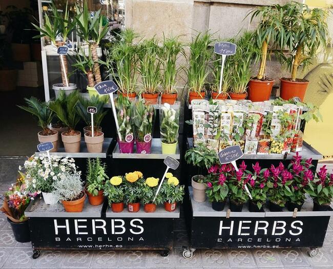 Venta de ramos de flores online desde 2001