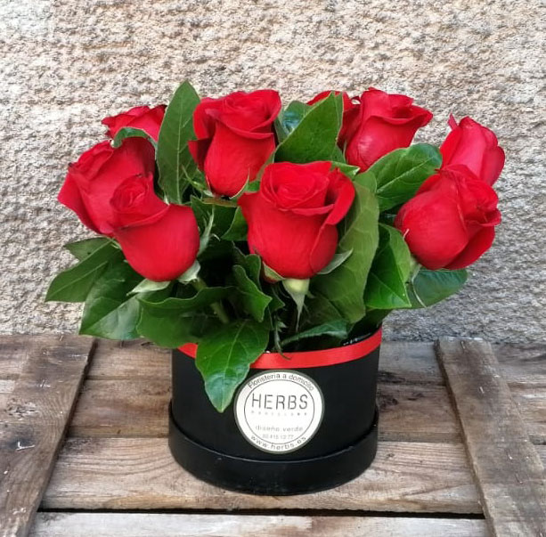 Caja sombrerera 8 rosas rojas - HERBS BARCELONA