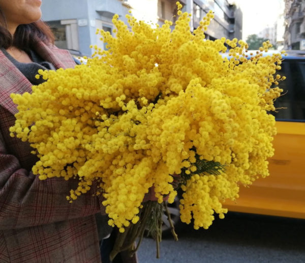 ramo-flores-mimosa-barcelona