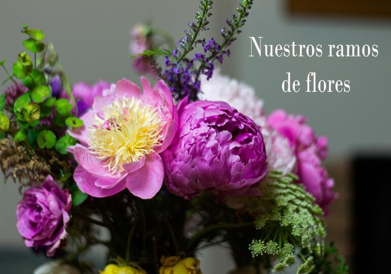 Simply Flowers Shop  Ramos de flores preservadas – Corona Vega