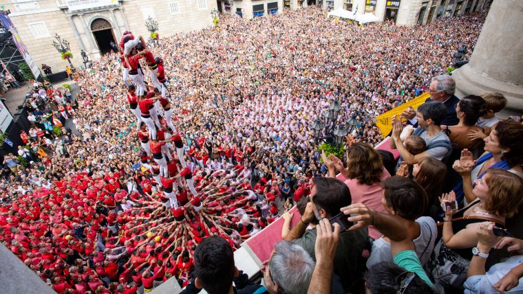 Flores para las fiestas de la Mercè