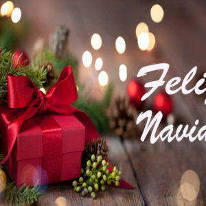 NAVIDAD-CENTROS-NAVIDAD