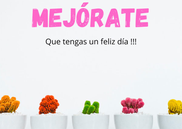 tarjeta-mejorate-cactus