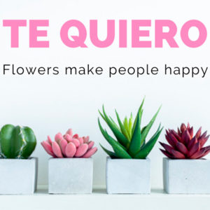 tarjeta-te-quiero-cactus