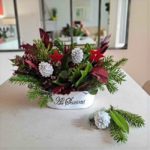 flores-plantas-navidad