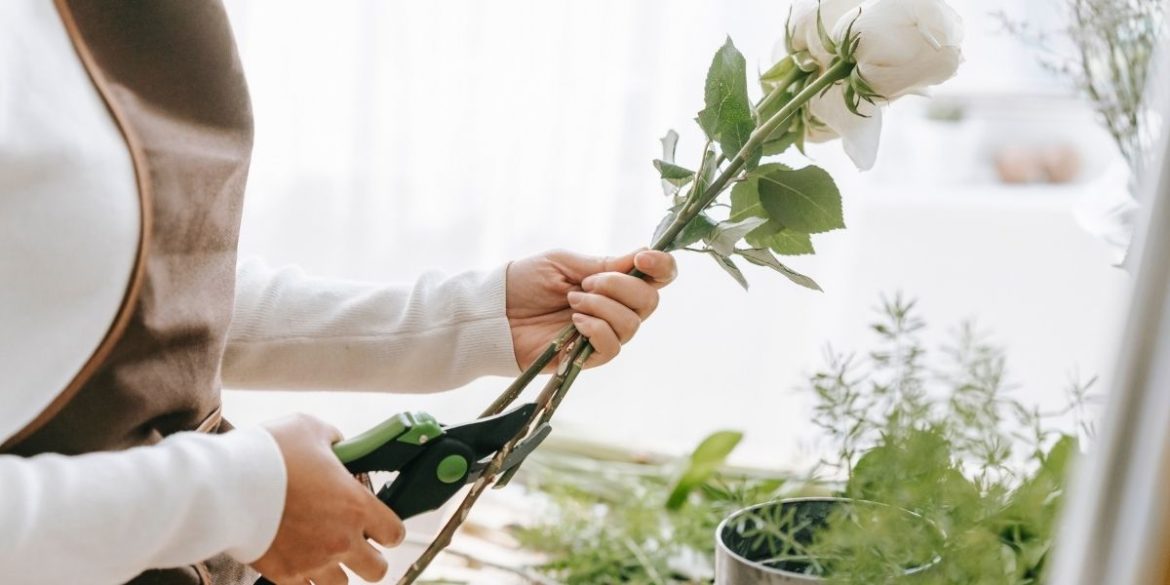 Consejos para el cuidado de las flores recién cortadas