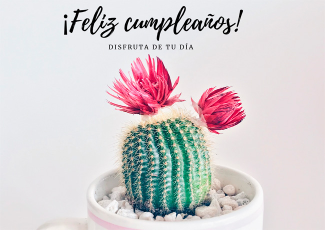 tarjeta cumple anos