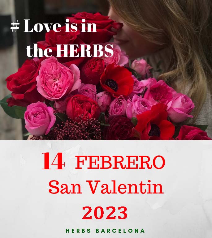 oferta-san-valentine