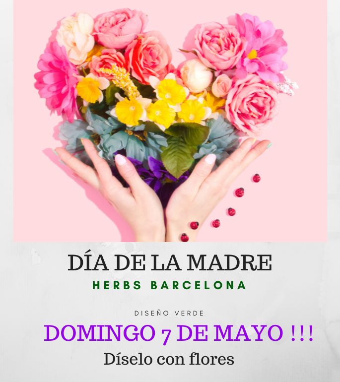 dia-madre-en-barcelona-flores