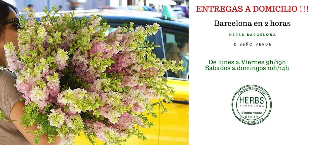 herbs barcelona