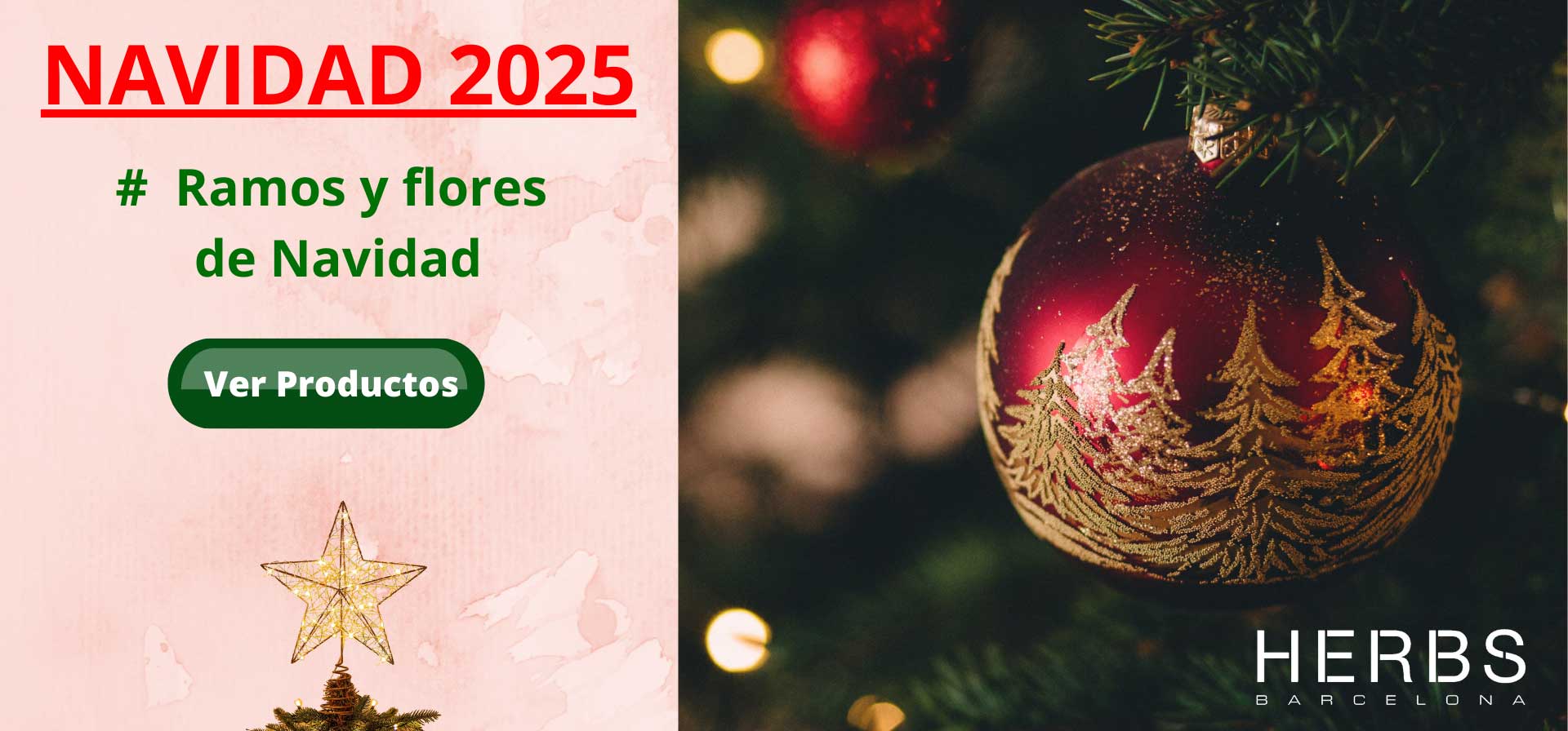 FLORES-PLANTAS-NAVIDAD