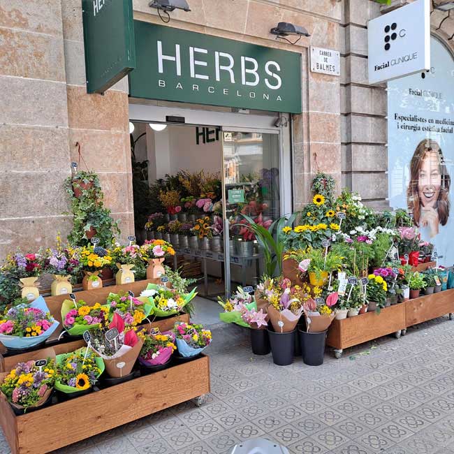 floristeria-barcelona-herbs