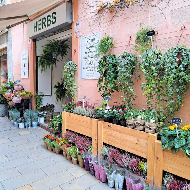 floristerias-herbs-barcelona-exterior