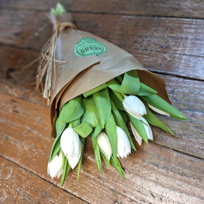 tulipanes-blancos-en-barcelona