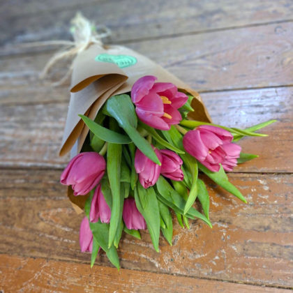 tulipanes-rosas-barcelona