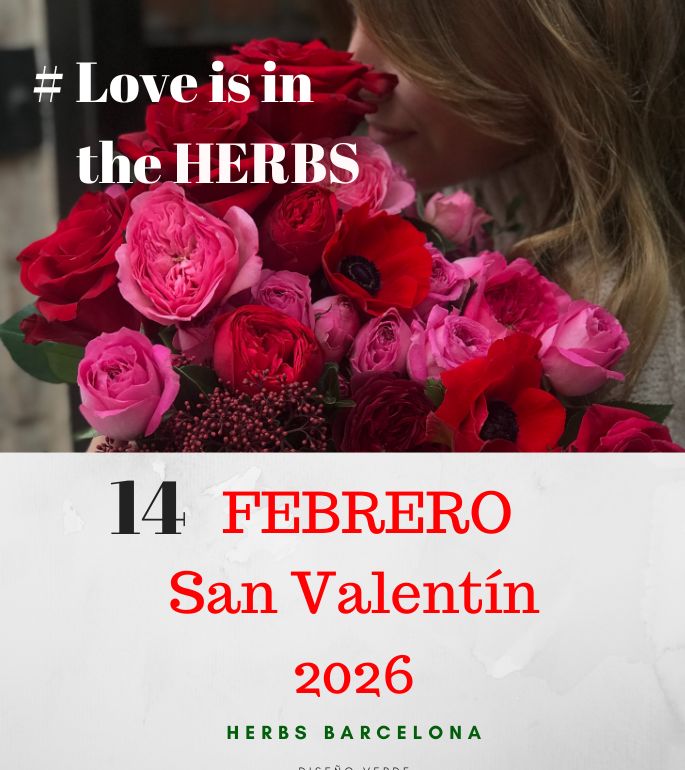 flores-para-san-valentin
