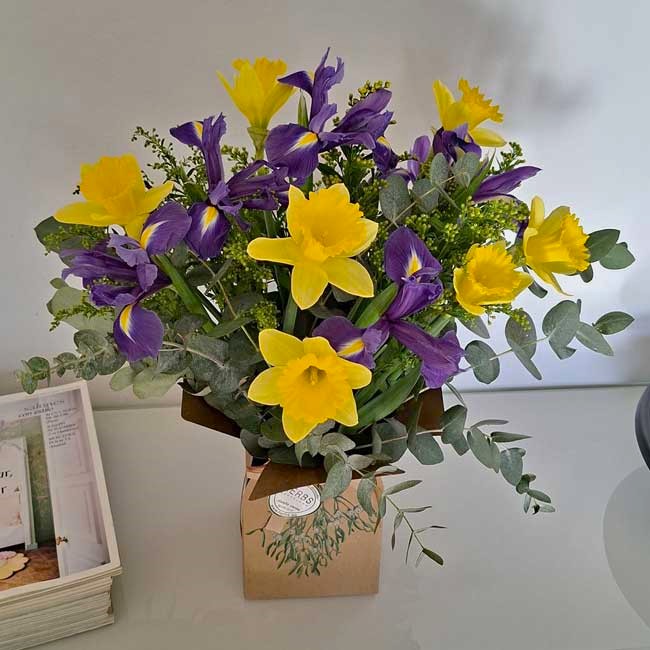 RAMO NARCISOS e IRIS "VERONA" 4 narcisos-iris