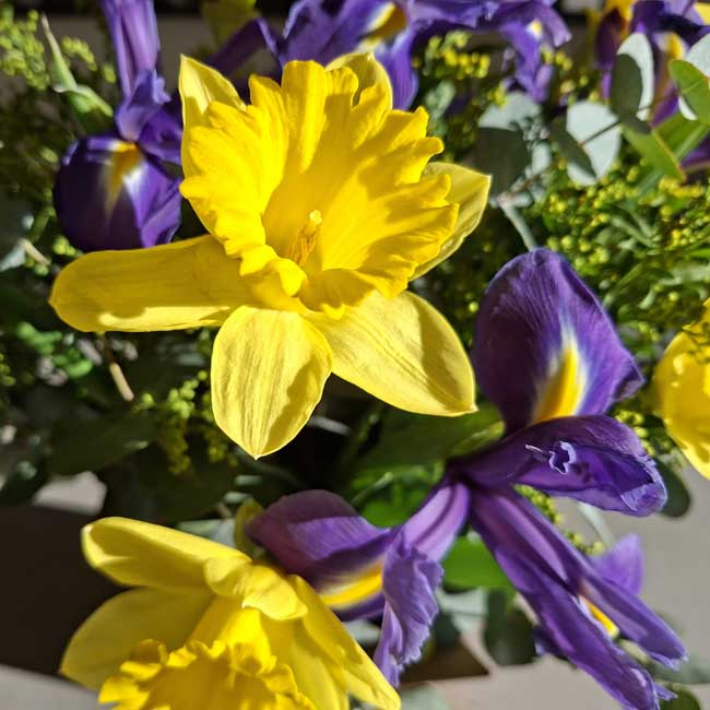 RAMO NARCISOS e IRIS "VERONA" 3 ramo-narcisos-iris-barcelona