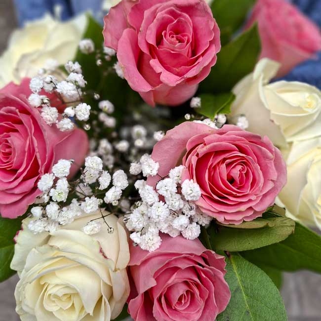 OFERTA SEMANAL “Ramo de 10 Rosas en Tonos Rosados y Blancos" 4 rosas-blancas-rosa-ramo